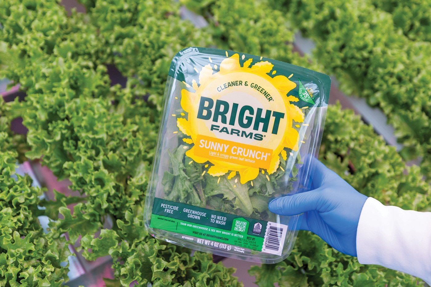 BrightFarms lettuce packaging