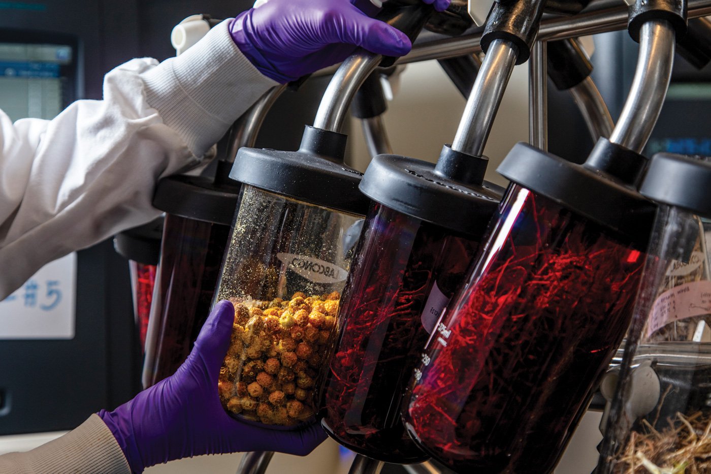 Creating a digital, molecular blueprint of plant samples