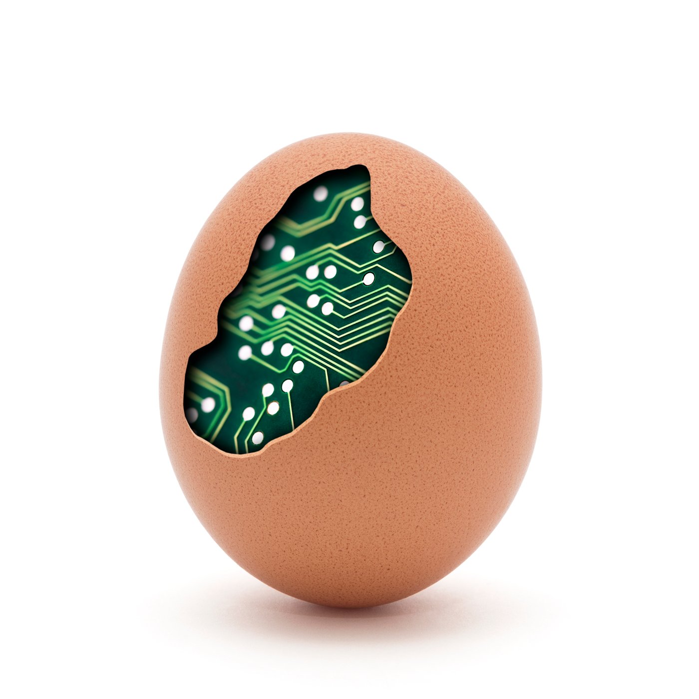 computer egg