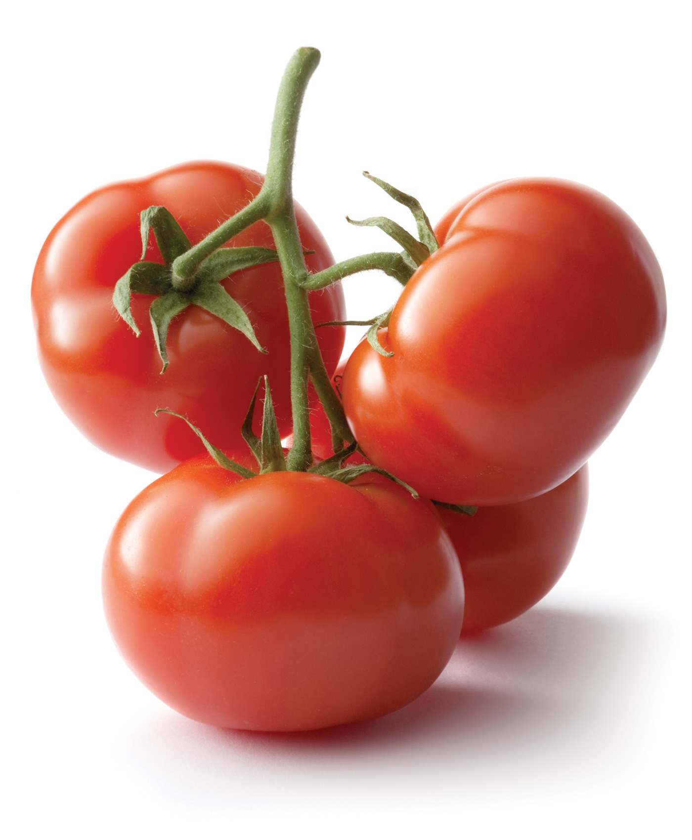 Tomato's
