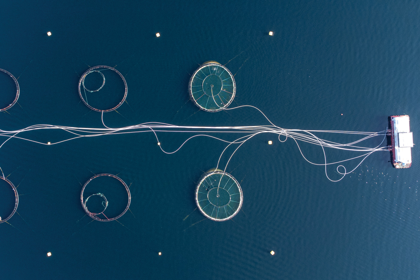 Aerial shot directly above a circular shaped fish farm in sea