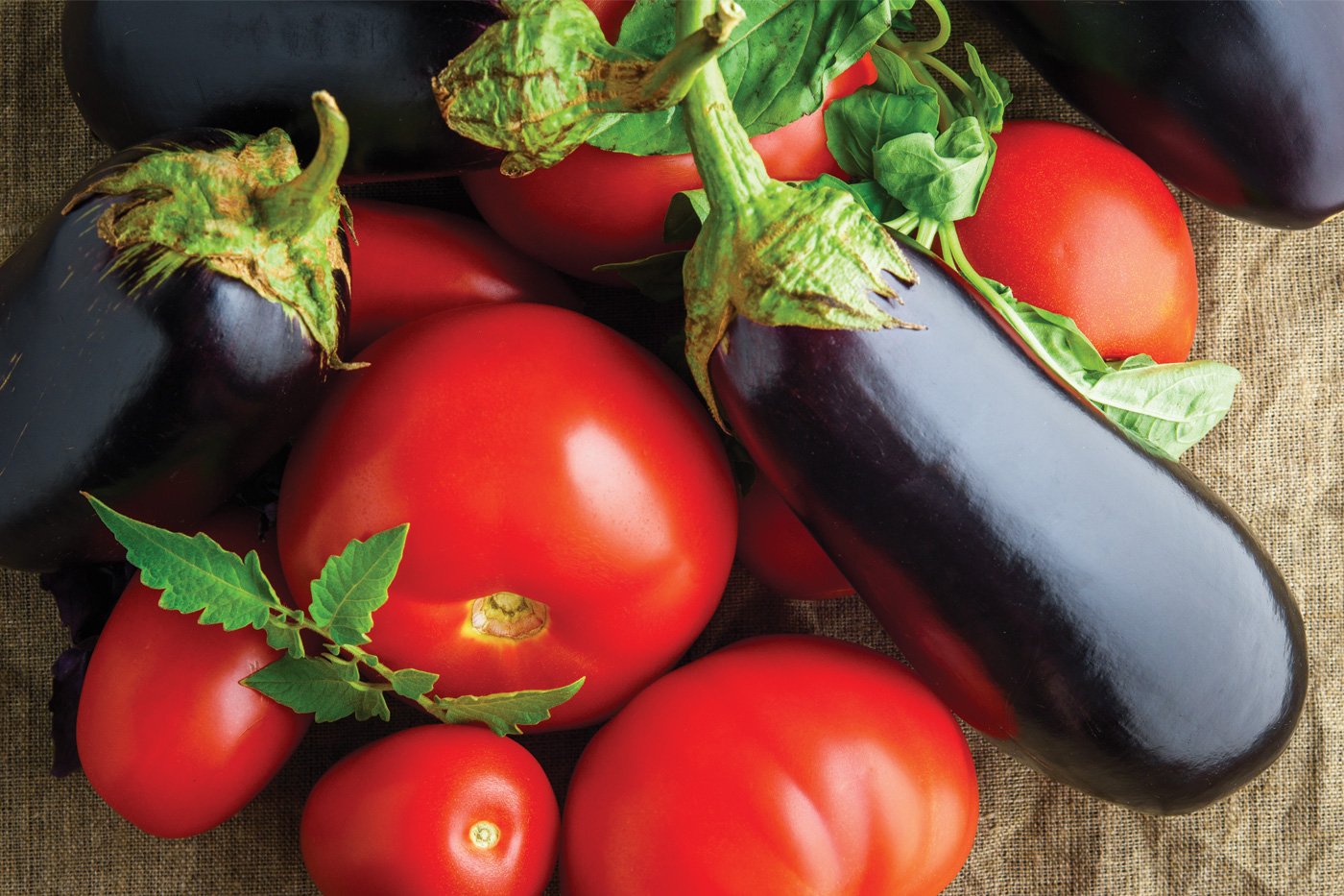 Large tomatoes and eggplants