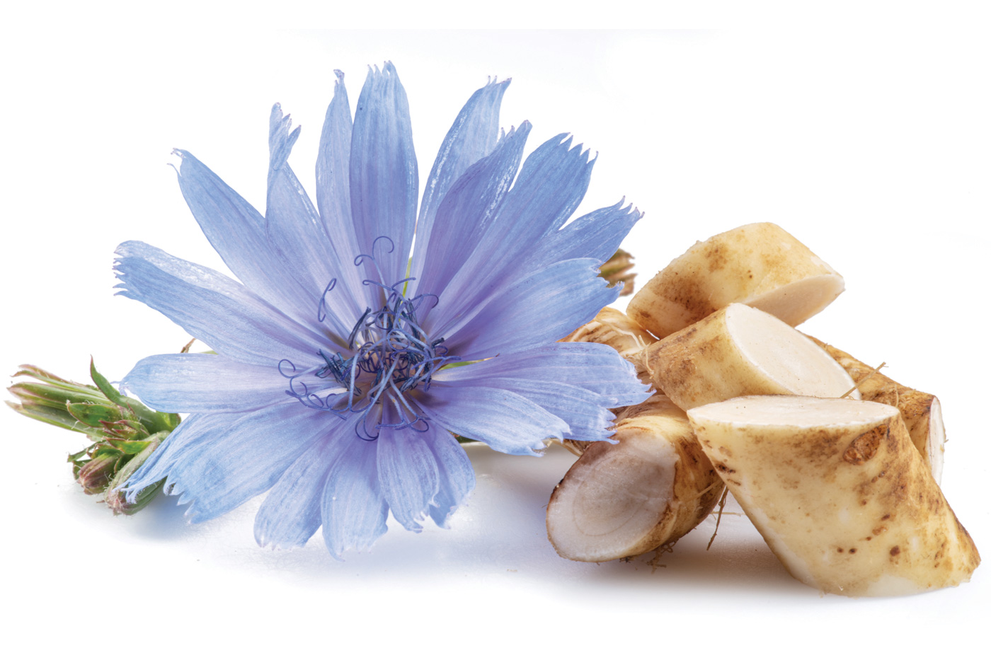 Prebiotic Ingredients