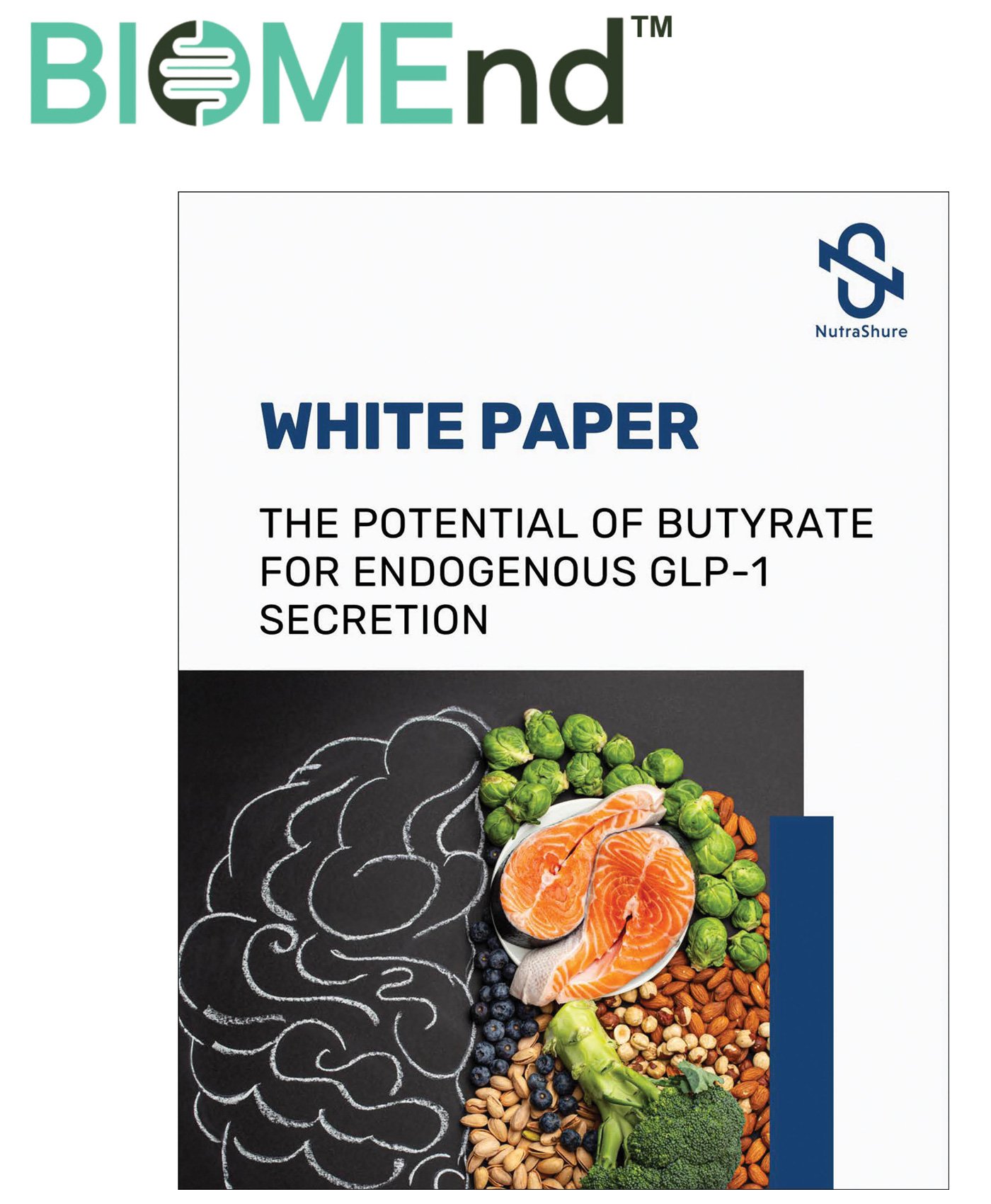 BIOMEnd White Paper Cover