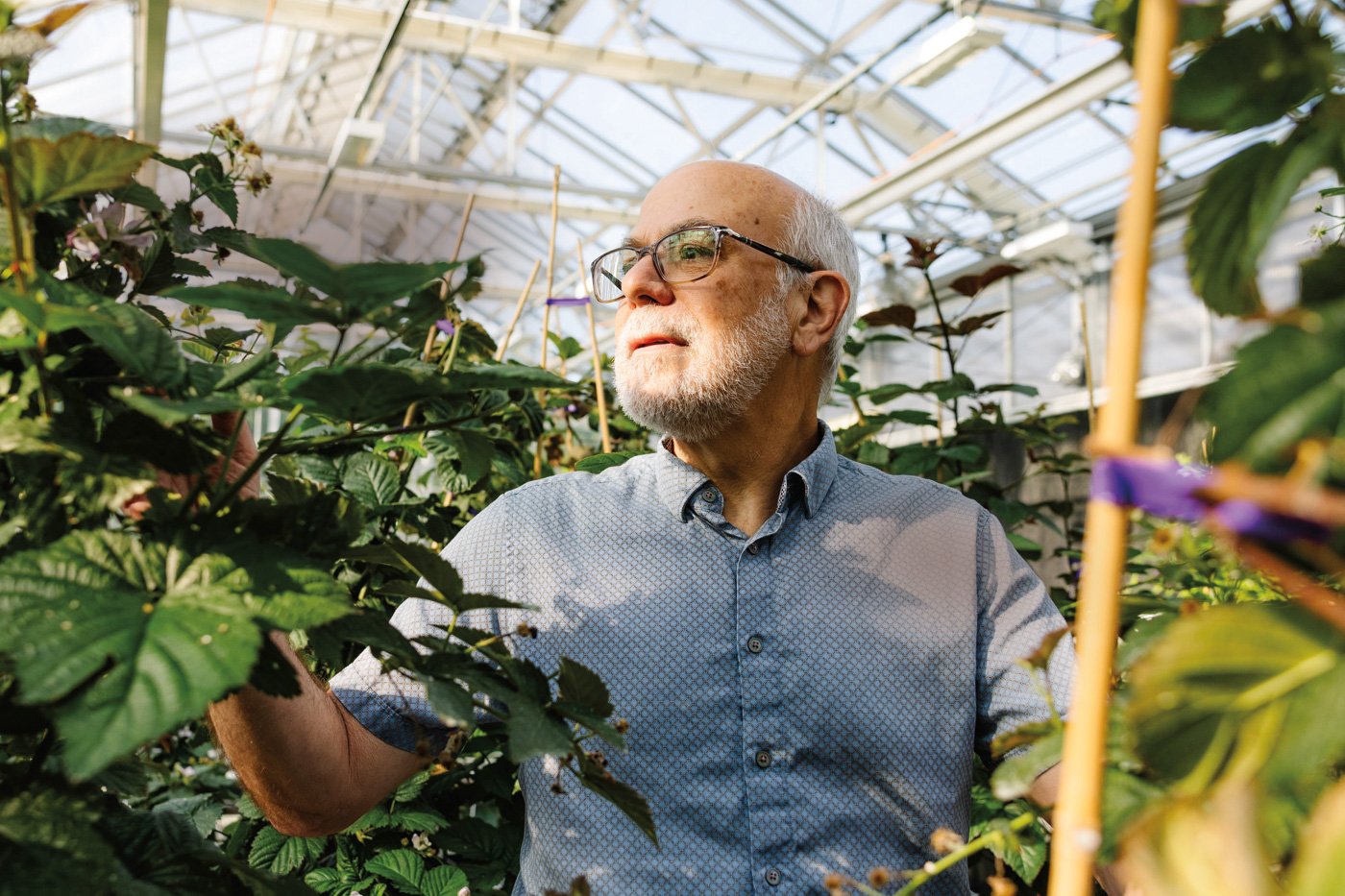 Tom Adams, Cofounder & CEO, Pairwise