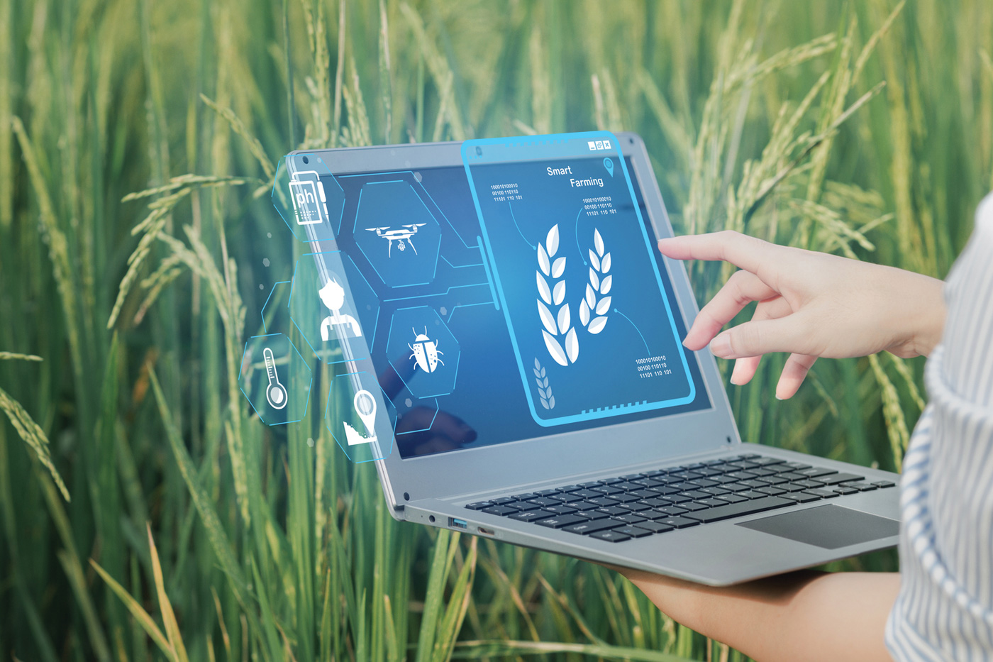 Data Analytics visualization