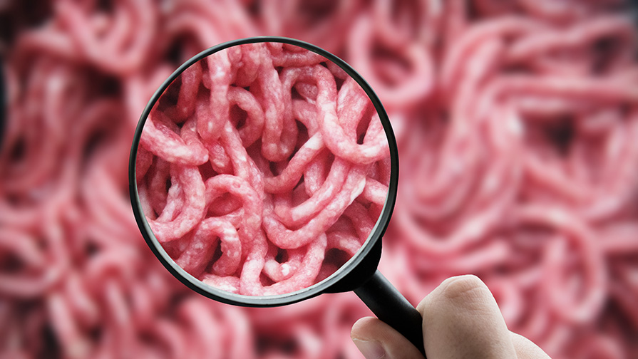 Omnivore Podcast Episode 13 a magnifying glass on raw meat