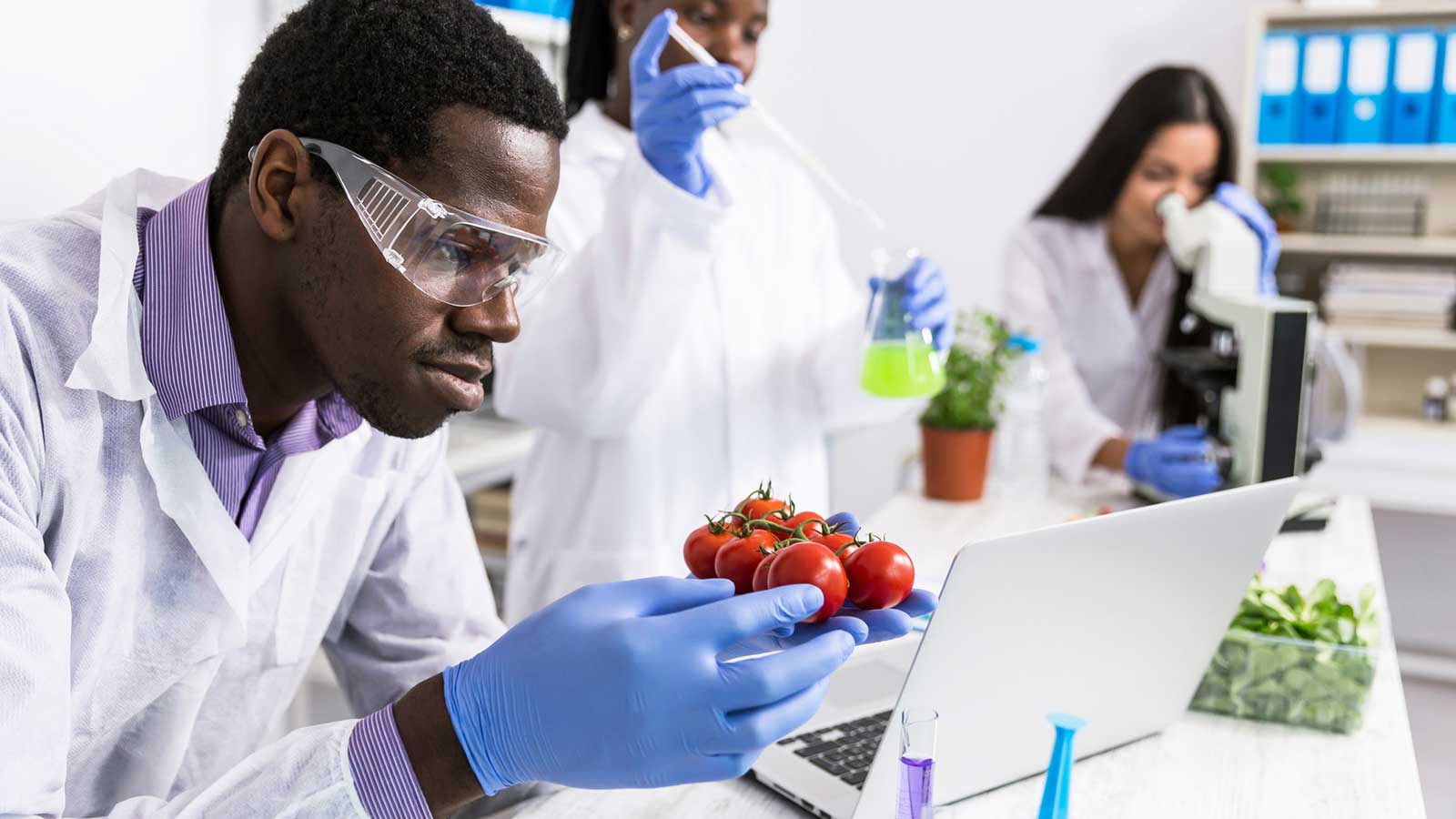 Omnivore EP 17 three food scientists in a lab inspecting tomatoes, pipetting from a beaker, and looking through a microscope