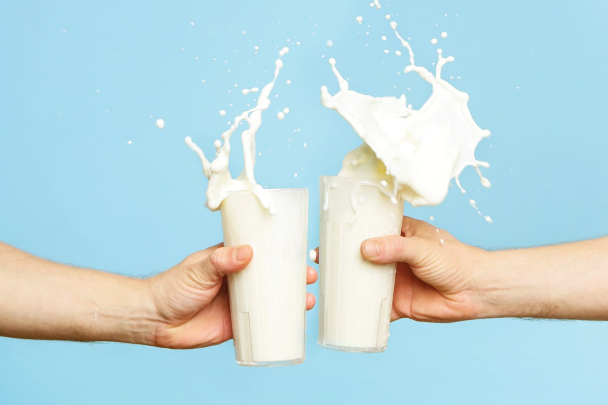 Toasting with milk.