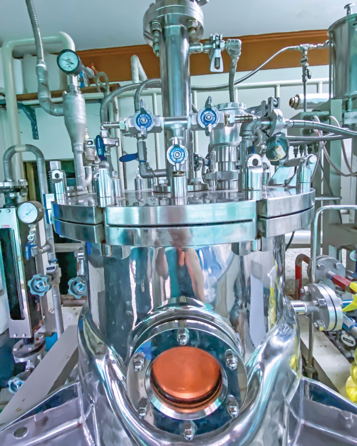 100 liter stainless steel bioreactor