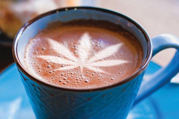 cannabis edibles