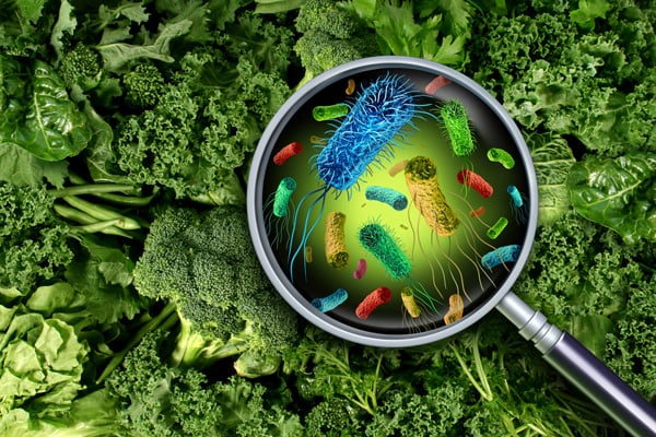 Foodborne Pathogens