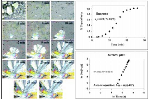 Fig. 5—Growth of a sucrose crystal from the rubbery phase, shown by polarized light videomicroscopy (left). Change in crystallinity with time and Avrami plot of kinetic data (right)