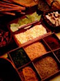 A DEVELOPING FOODS REPORT SPICES AND ETHNIC FOODS