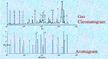 Fig. 4—Comparison of a gas chromatogram to an aromagram.