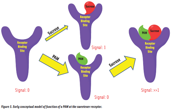 Figure 3. Early conceptual model of function of a PAM at the sweetener receptor.