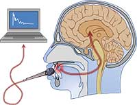 Acoustic tribology technology records and analyzes the sound of rubbing of the tongue against the food