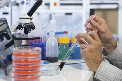 Scientist in laboratory