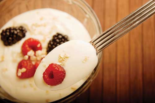 Yogurt
