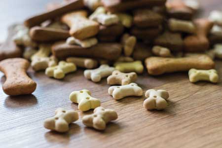 Dog biscuits