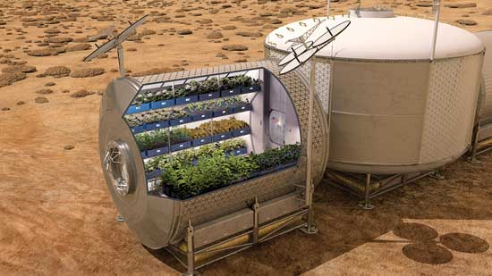Vegetable Production System