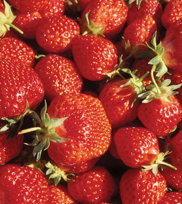 Strawberries