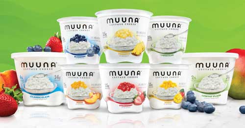 Muuna cottage cheese