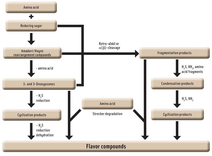 Aroma compounds are formed through a series of complex pathways beginning with the Maillard reaction between amino acids and reducing sugars (adapted from Kerler et al., 2010).