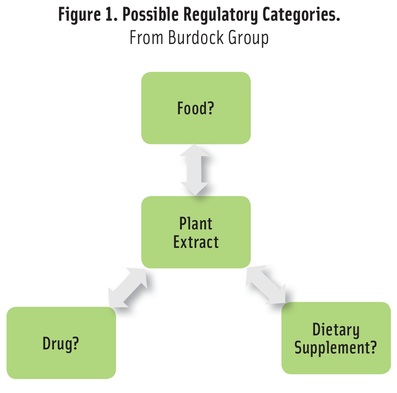 Figure 1. Possible Regulatory Categories. From Burdock Group