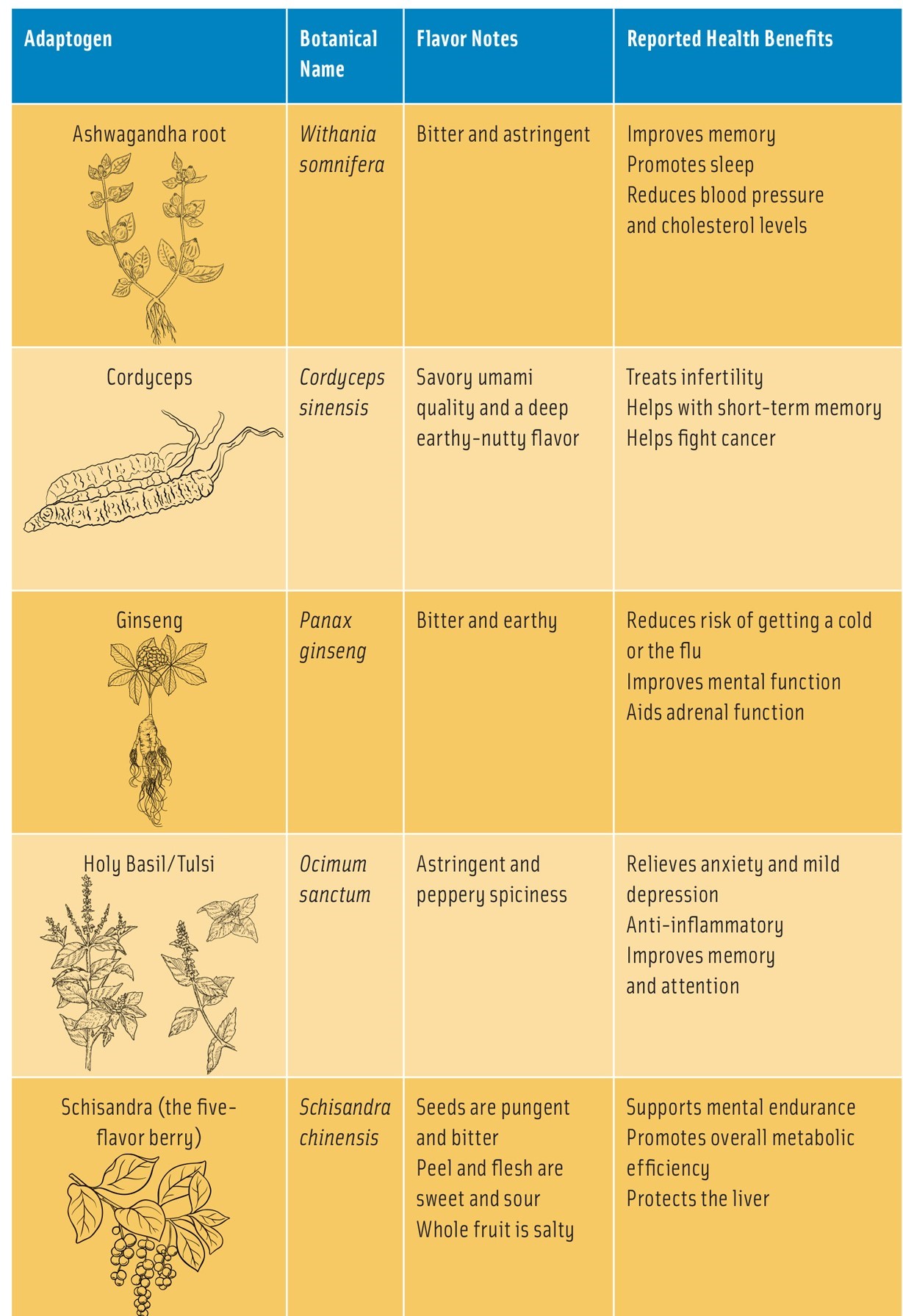 Flavor Forecast Adaptogens Table