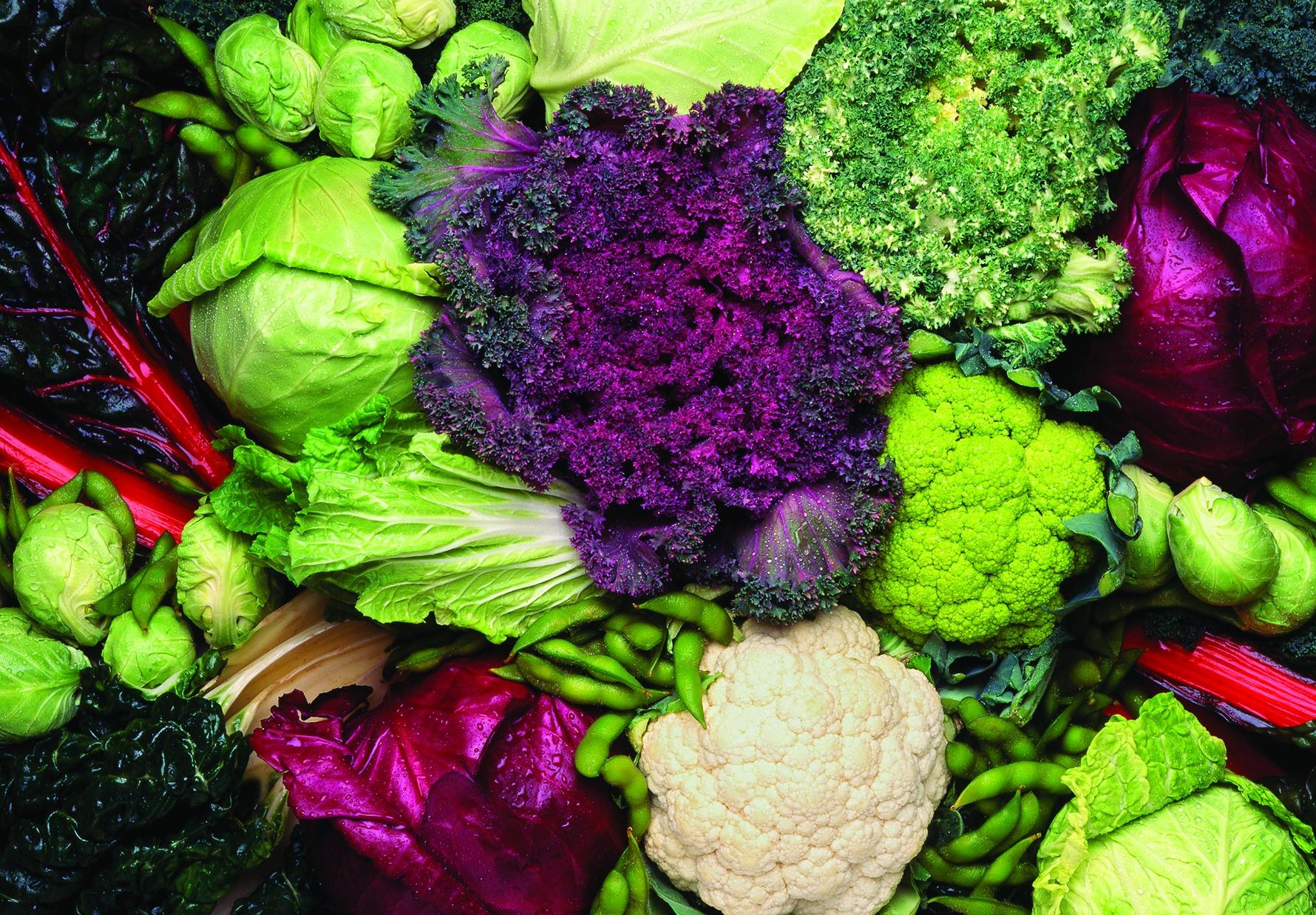 Disease Fighting Vegetables