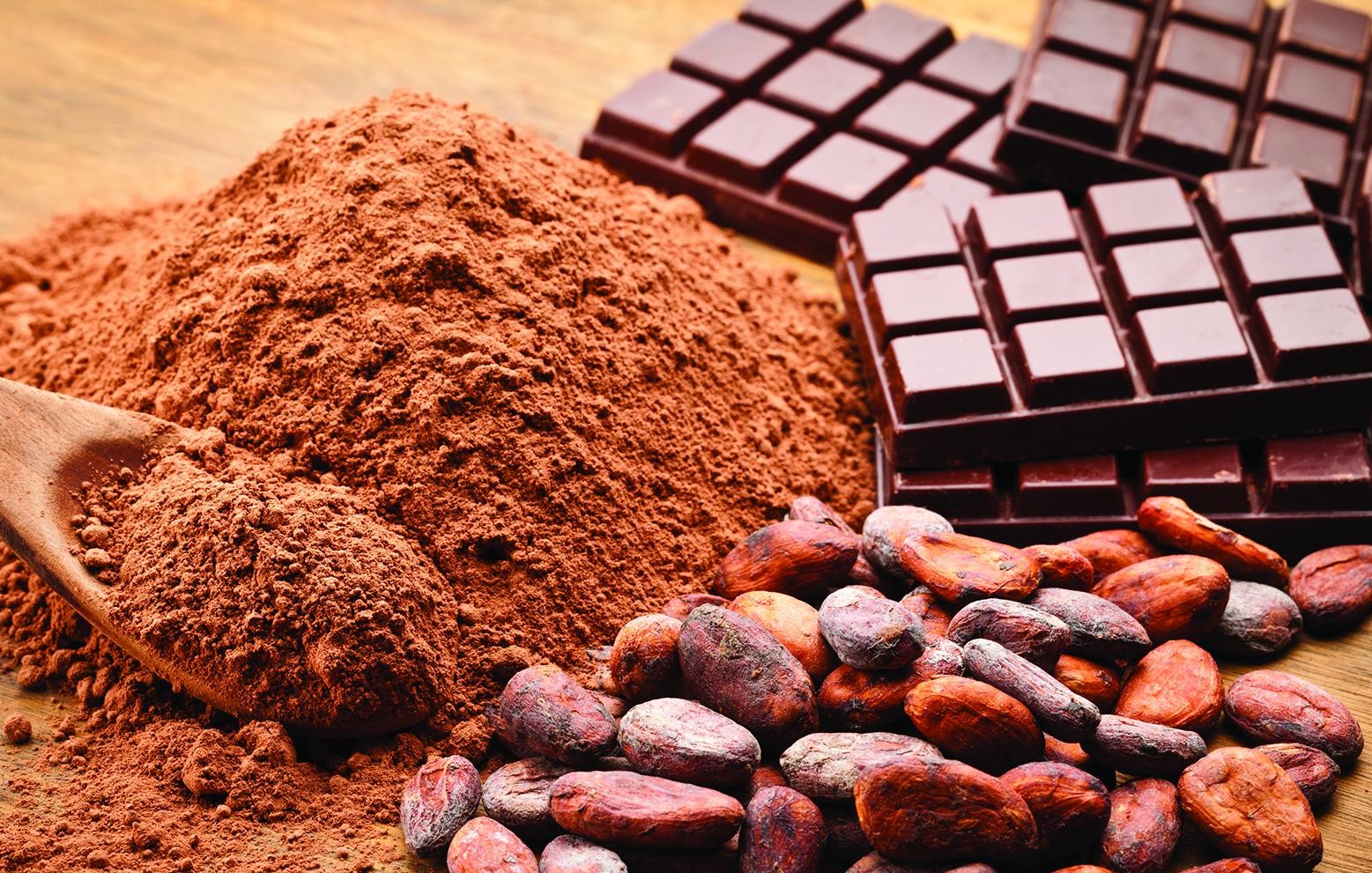 Disease Fighting Cocoa
