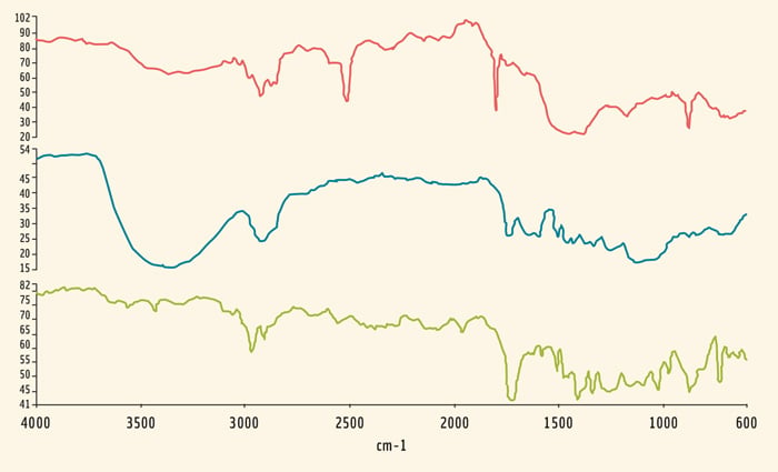 Figure 1. Spectra of the typical materials found in bottled water: calcium carbonate (top), cellulose (middle) and PET (bottom).