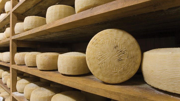 Cheese wheels