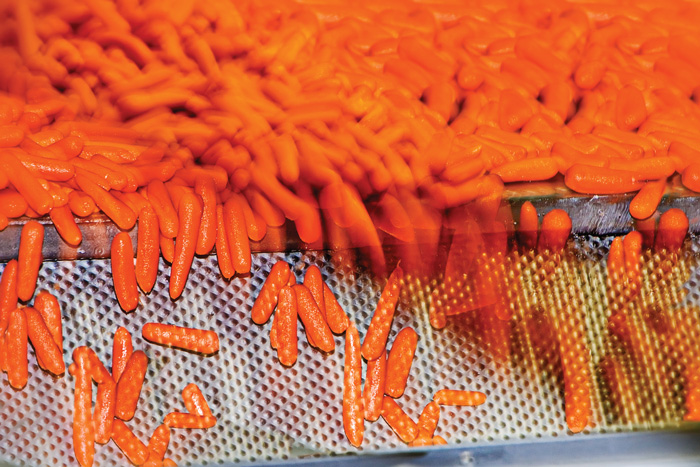 Carrots