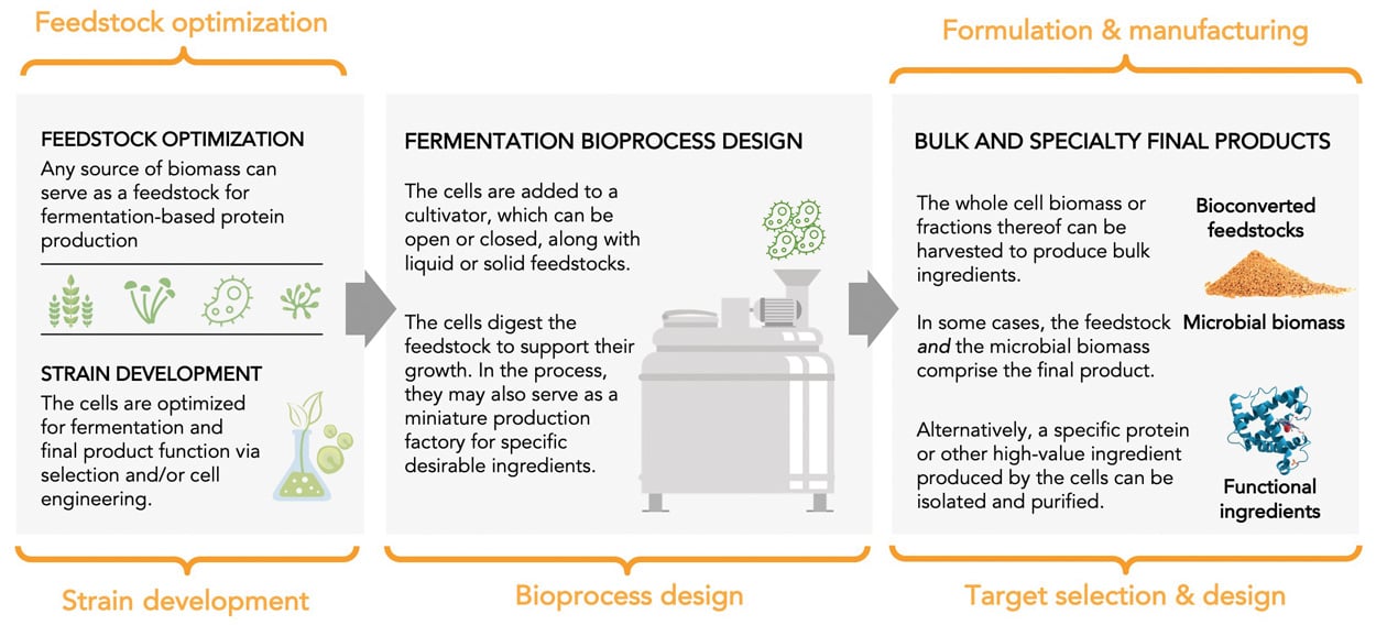 Fig4 Fermentation graphic