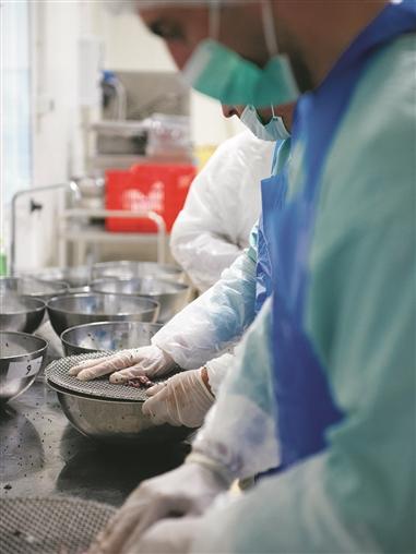 Person in lab environment