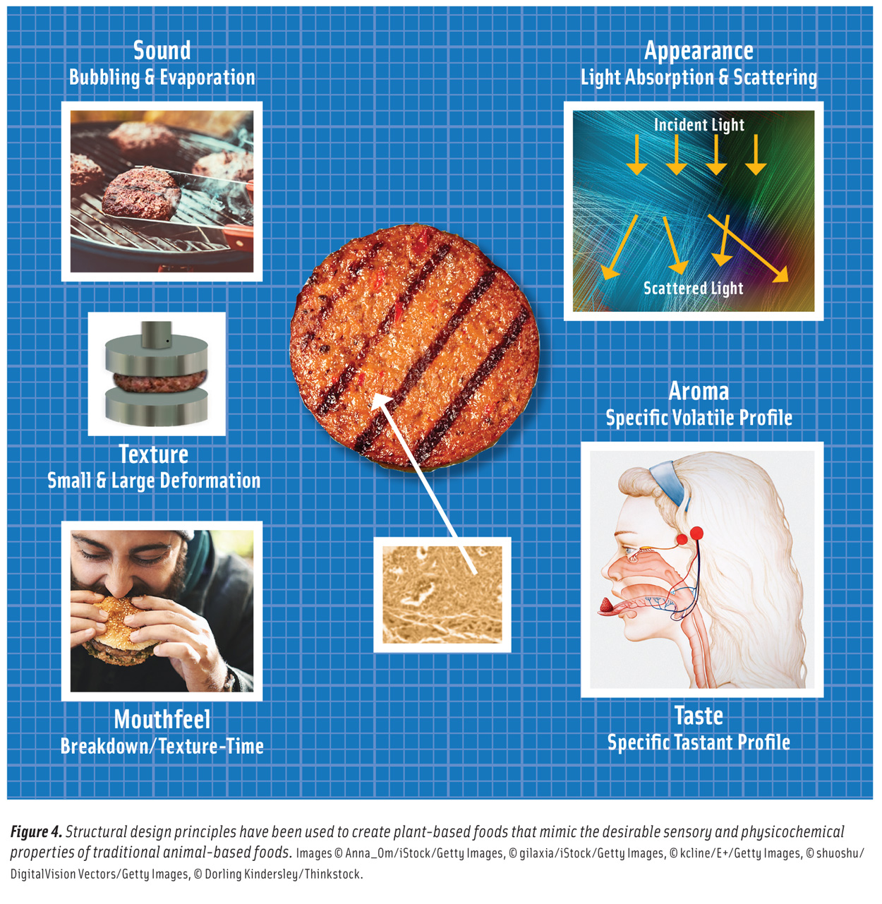 Food Architecture 2020 Figure 4
