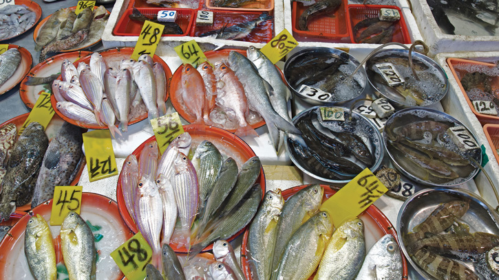 Wet Market Fish