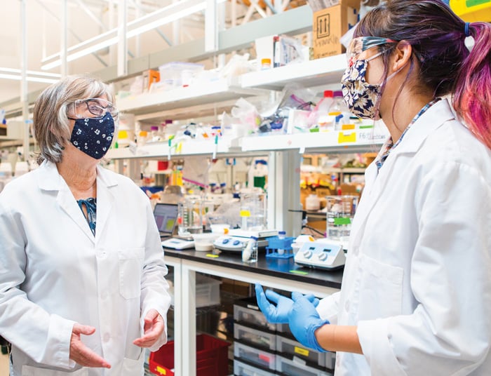 Sue Klapholz in the lab