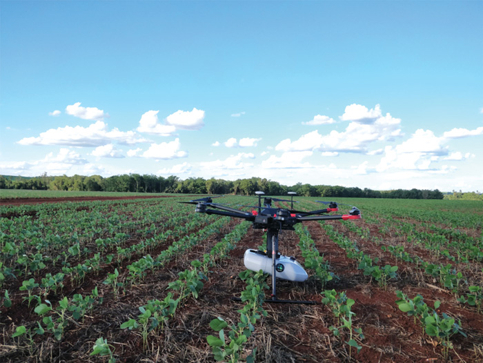 Rows of plants and AI