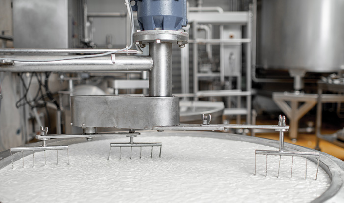 whey processing