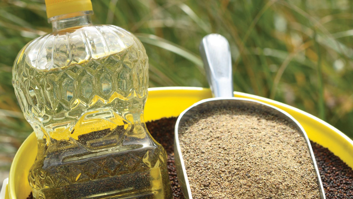 Canola oil