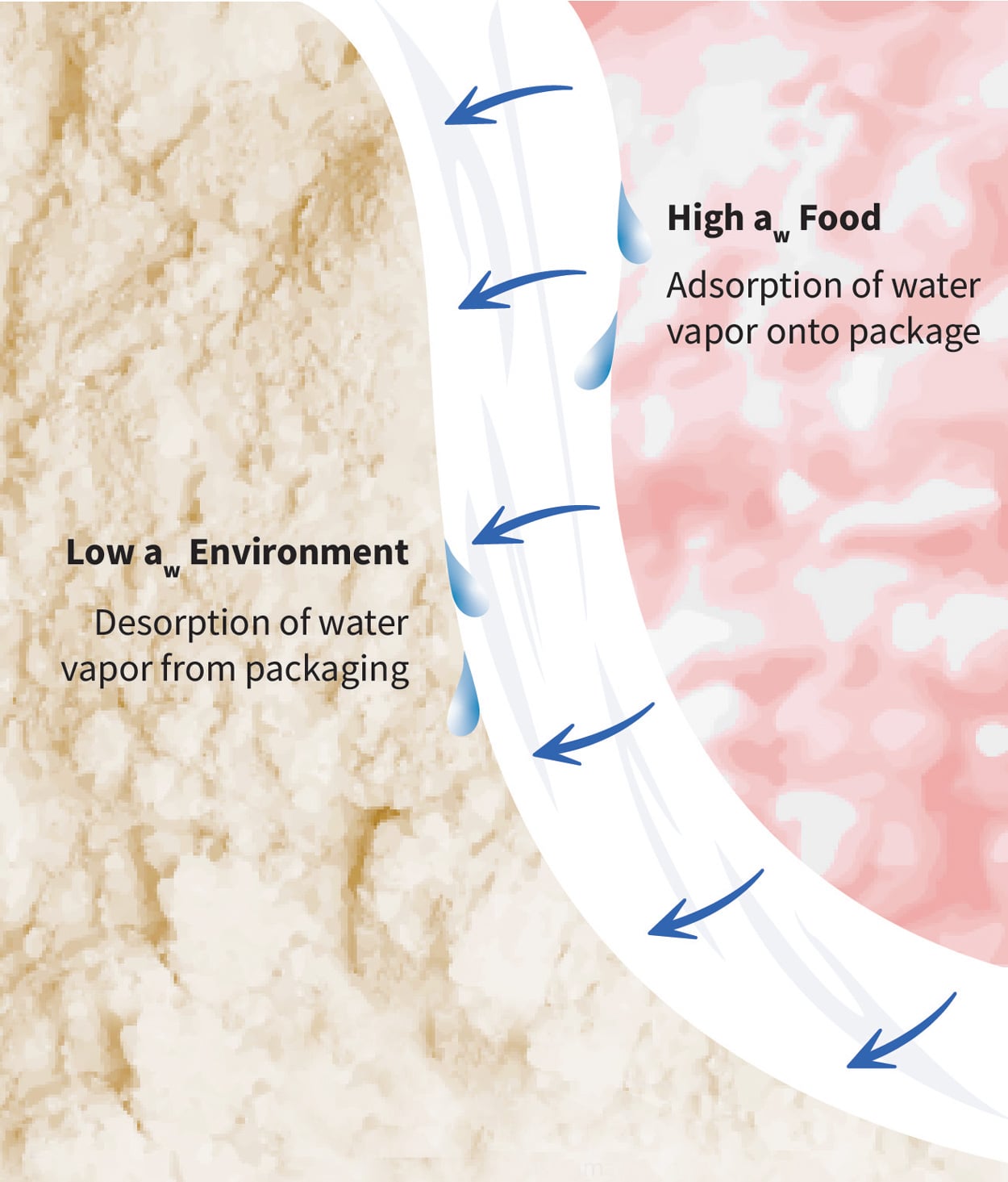 Water Vapor Permeation
