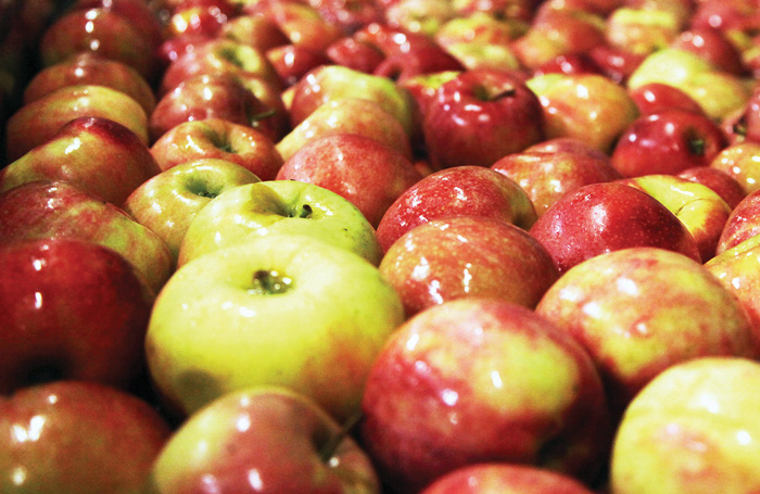apples