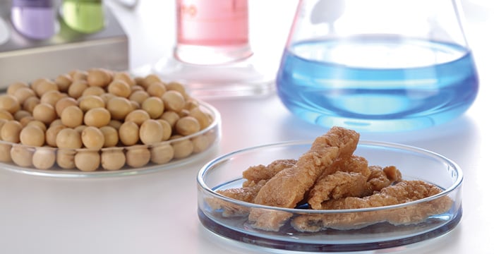 cultured meat