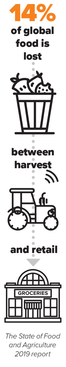 global food waste