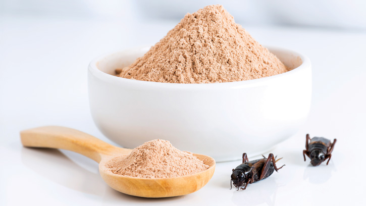 cricket powder