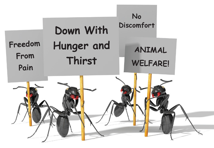 insects protesting