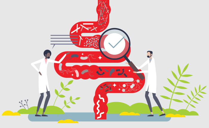 gut microbiota 